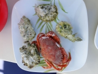 Crab und Austernessen